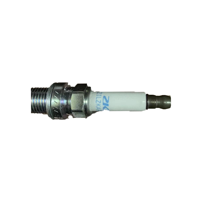 Spark Plug 10162965 RW RX5 GS HS